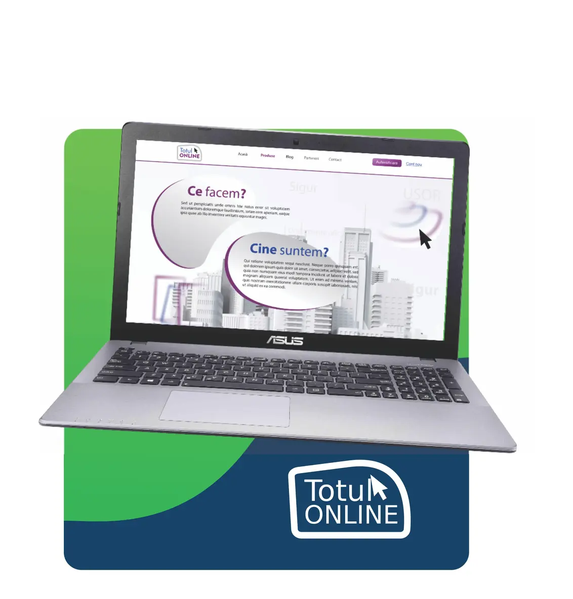 Totul Online